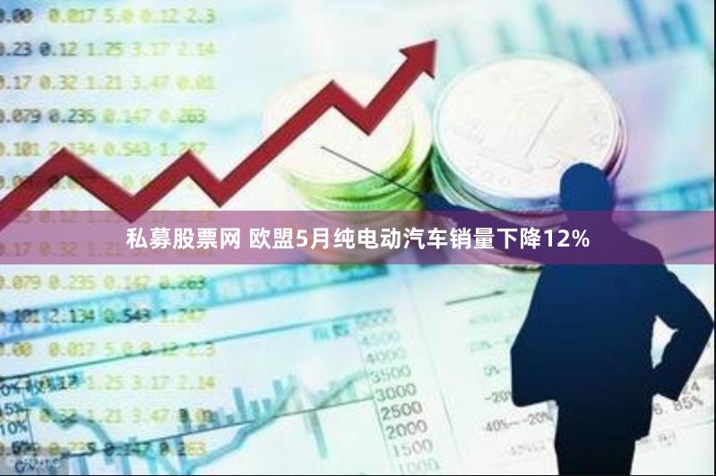 私募股票网 欧盟5月纯电动汽车销量下降12%