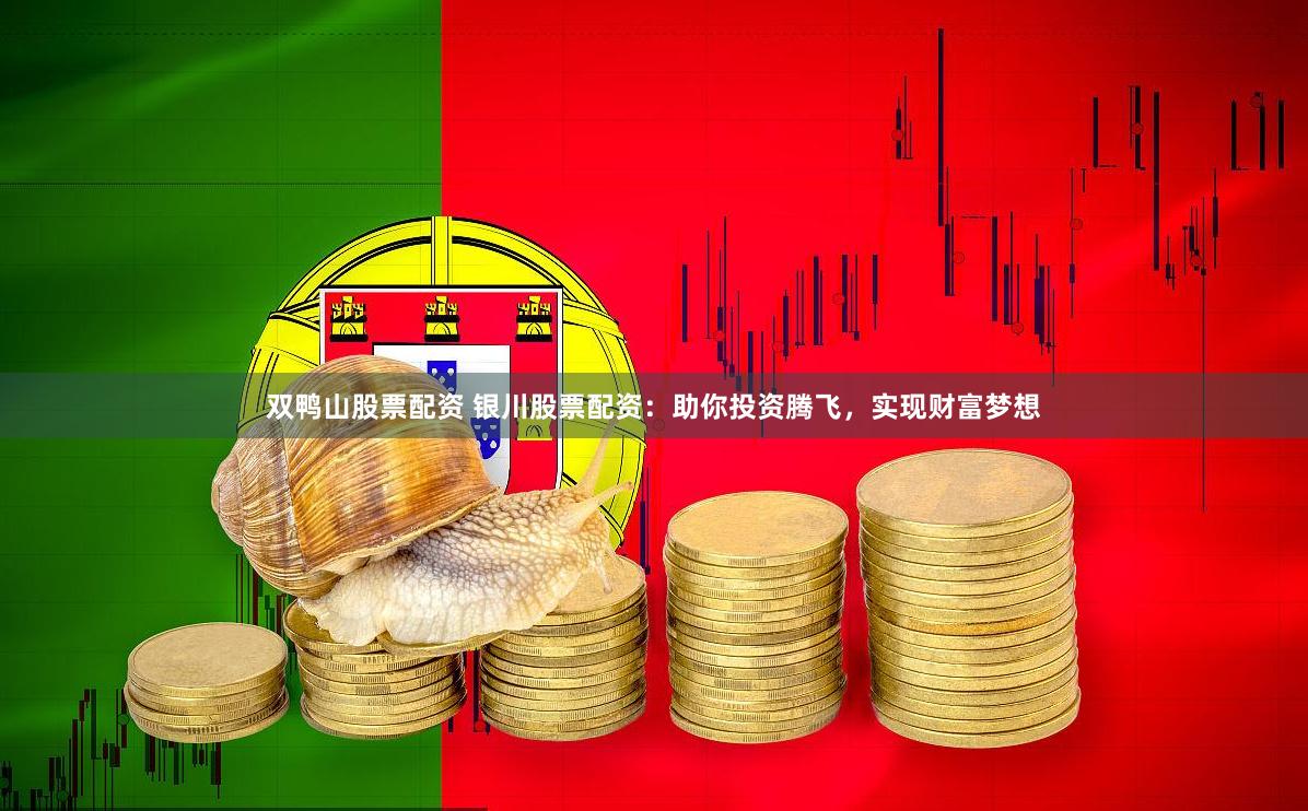 双鸭山股票配资 银川股票配资：助你投资腾飞，实现财富梦想