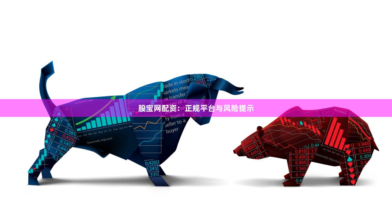 股宝网配资：正规平台与风险提示