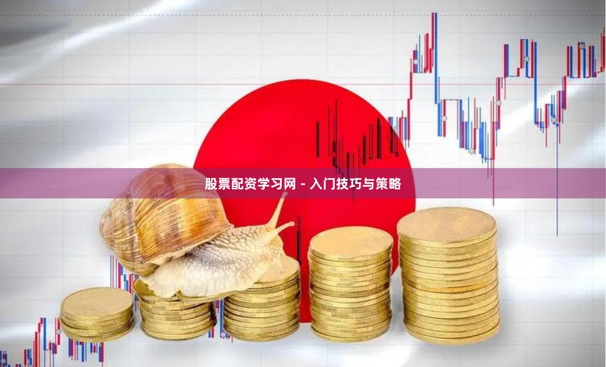 股票配资学习网 - 入门技巧与策略