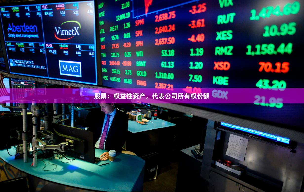 股票：权益性资产，代表公司所有权份额