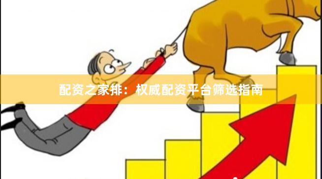 配资之家排：权威配资平台筛选指南